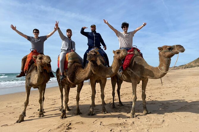 5 Hours Private Tangier Tour - Booking Information