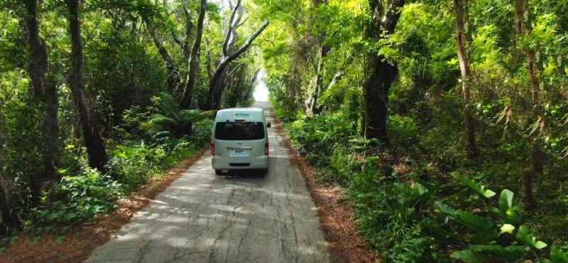 5 Hours St. Nicholas Abbey and Bajan Tour in Barbados - Itinerary Highlights