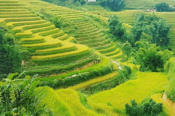 5 Hours Trekking With Terraced Rice Field in Sapa - Inclusions and Exclusions