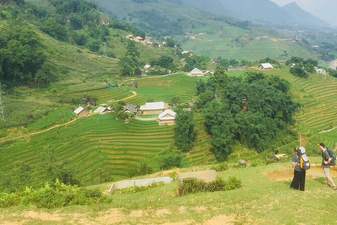 5 Hours Trekking With Terraced Rice Field in Sapa - Health and Accessibility