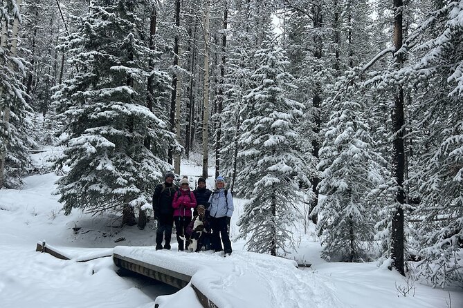 5 Hours Winter Wonderland Guided Hike to Fullerton Loop - Gear and Preparation