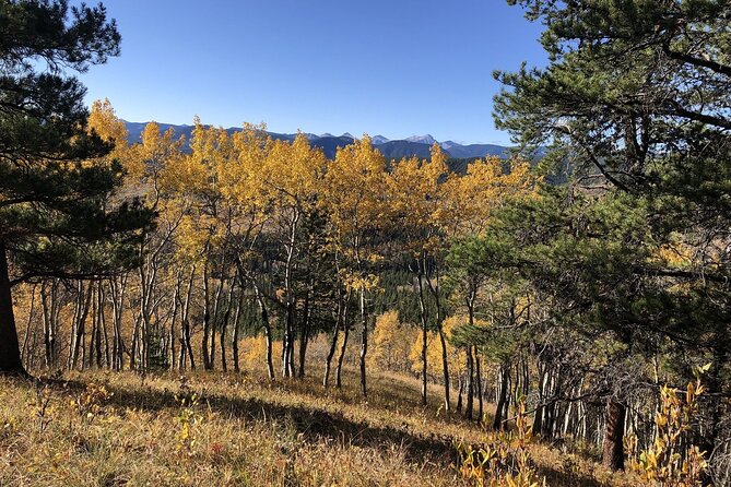 5 Hours Winter Wonderland Guided Hike to Fullerton Loop - Trail Description and Highlights