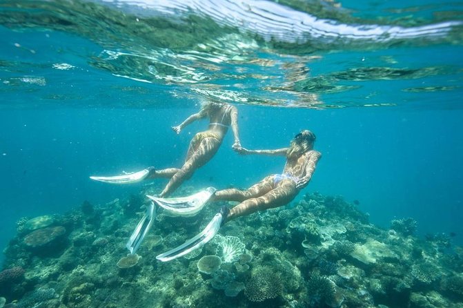5-in-1 Adventure in Cancun: ATVs, Ziplines, Speed Boat, Snorkel and Cenote Swim - Booking Information and Pricing