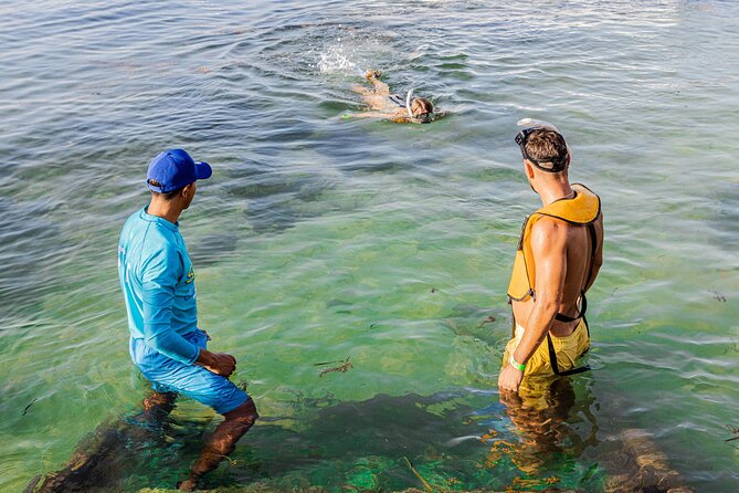 5-In-1 Cancun Snorkeling Tour:Swim With Turtles, Reef, Musa,Shipwreck and Cenote - Logistics and Restrictions