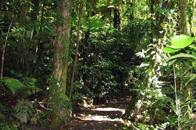 5-In-1 Monteverde Cloud Forest Experience With Ziplining and Hanging Bridges - Participation Requirements