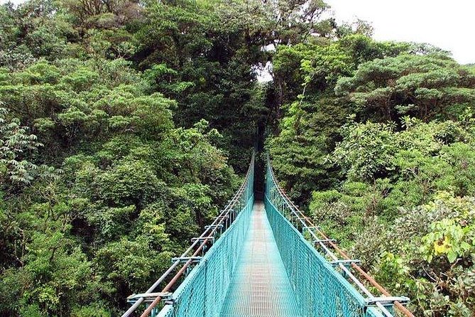 5-In-1 Monteverde Cloud Forest Experience With Ziplining and Hanging Bridges - Hanging Bridges Exploration