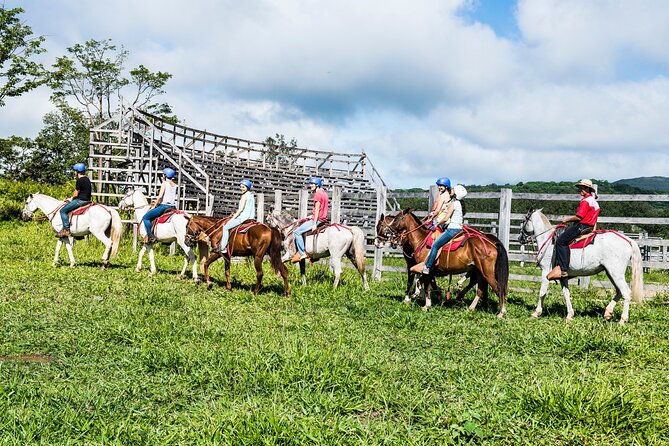 5-In-1 Rincon De La Vieja National Park Adventure Day Tour - Positive Reviews and Ratings