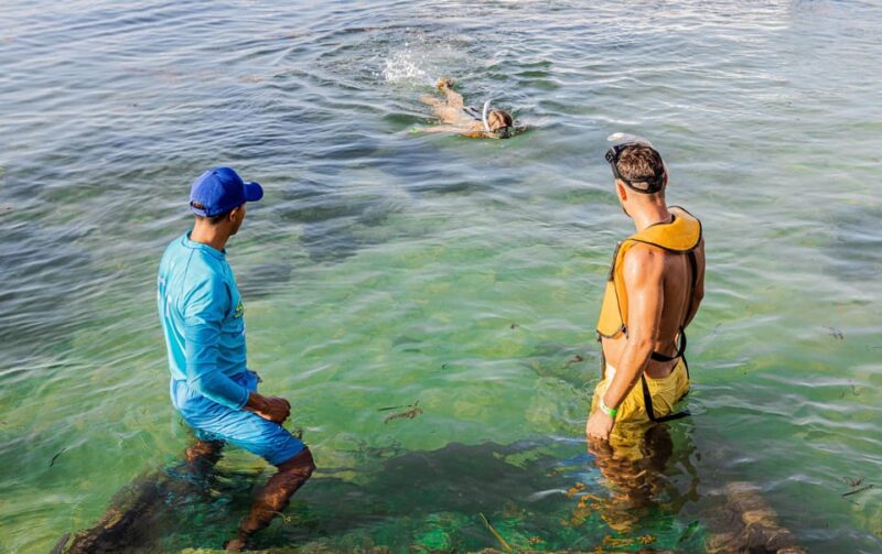 5 in 1 Snorkeling Boat Experience in Cancun - Inclusions