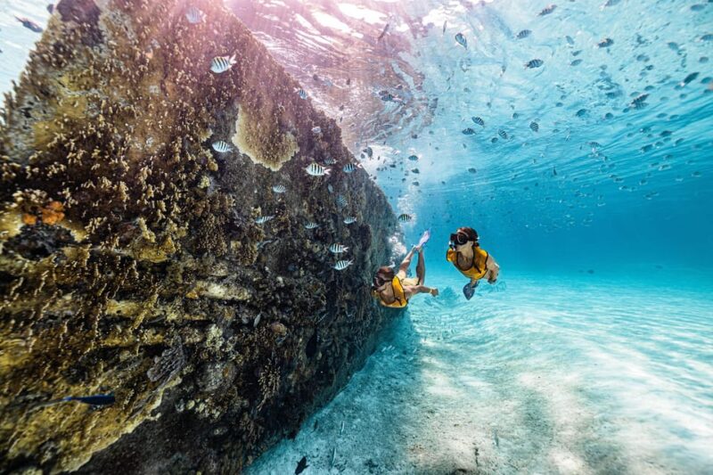 5 in 1 Snorkeling Boat Experience in Cancun - Suitability and Requirements