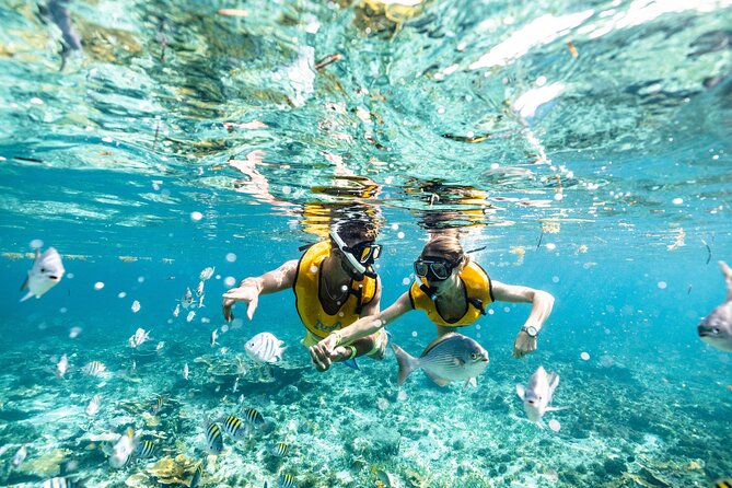 5 in 1 Snorkeling Boat Experience in Cancun - Explore Five Snorkeling Locations