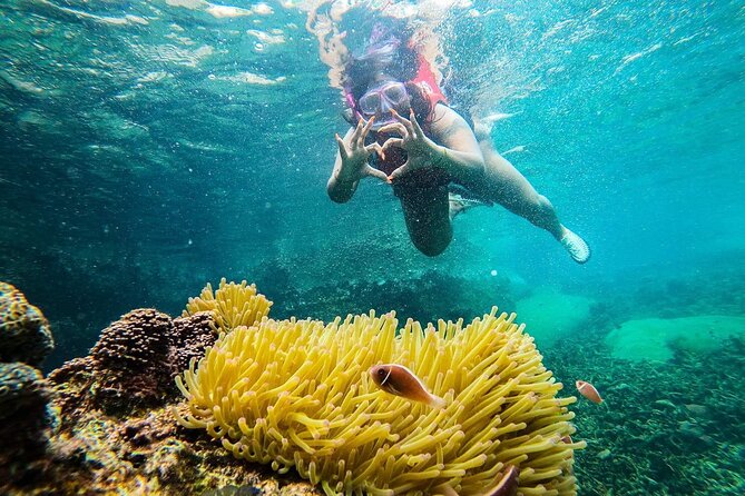 5 Islands Full-Day Tour Around Koh Tao and Koh Nangyuan - Snorkeling Locations