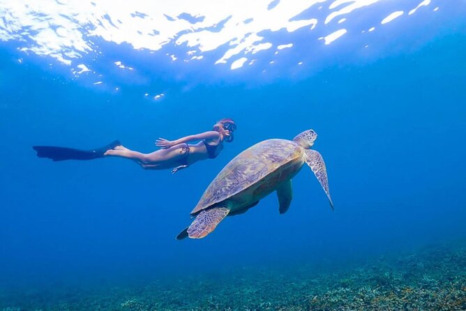 5 Islands Full-Day Tour Around Koh Tao and Koh Nangyuan - Pricing and Booking