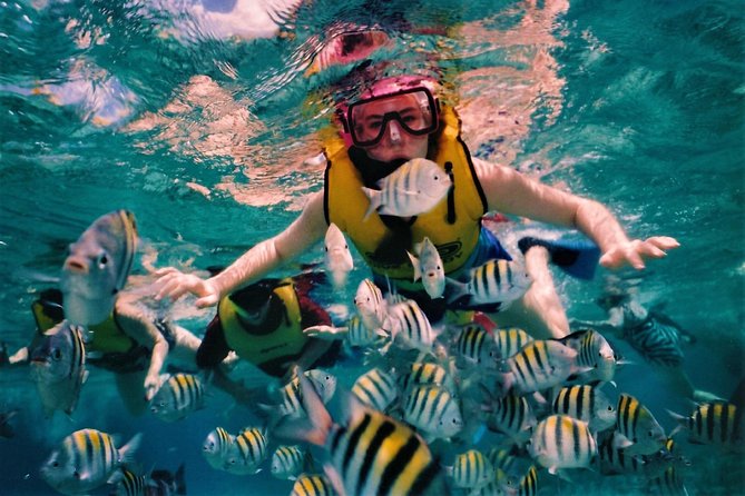 5 Islands Speedboat Cruise Including Snorkeling in Blue Bay + Lunch at Ile Aux Cerfs - Tour Reviews