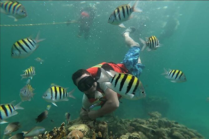 5 Islands Tour (Cholon the Party Island and Snorkeling) - Negative Customer Feedback