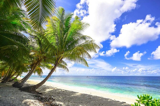 5 Islands Tour With Lunch Snorkeling and Plankton - Key Points