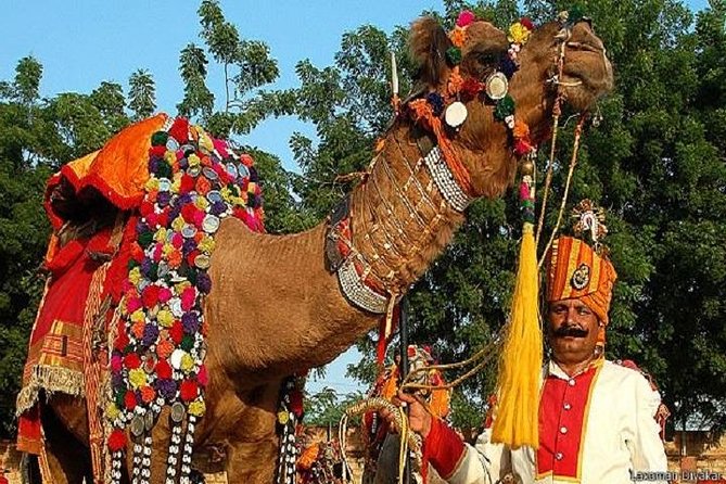 5 Night 6 Days Golden Triangle With Pushkar Tour - Highlights