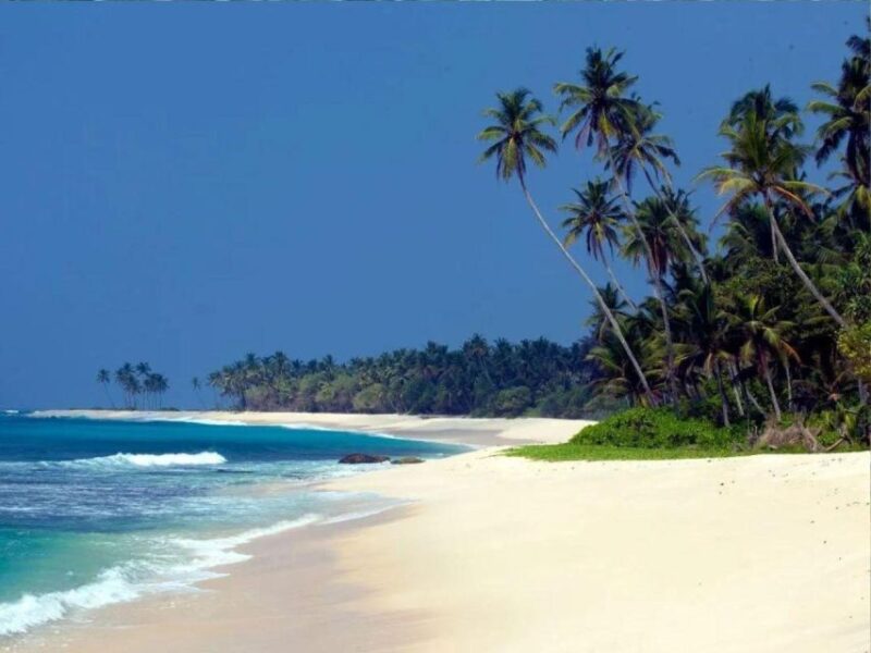 5 Nights 6 Days-Muslim Halal Tour With Beach Vacation - Accommodation and Transportation