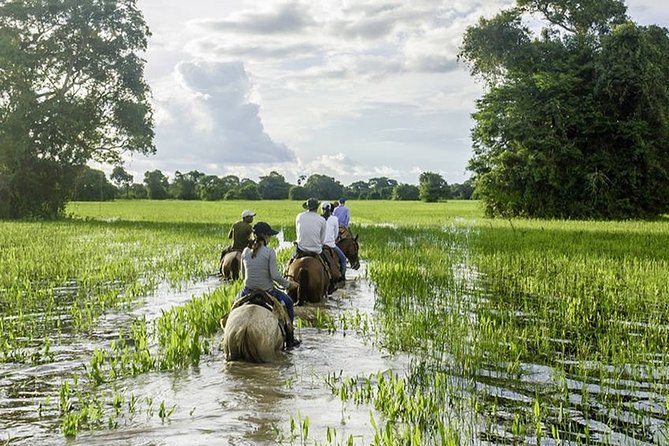 5 Nights Private Pantanal and Bonito Wild Nature Adventure - Meal and Transport Inclusions