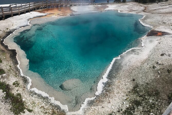 5 Person Full Day PRIVATE Yellowstone Tour- Picnic, Binoculars, Scope, Huge Van - Meeting and Pickup