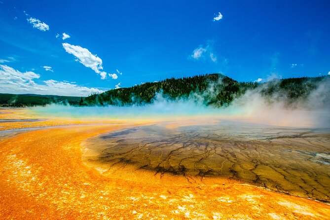 5 Person Full Day PRIVATE Yellowstone Tour- Picnic, Binoculars, Scope, Huge Van - Gourmet Picnic Lunch