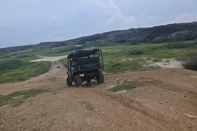 5-Seater UTV 4 Hours Island Tour in Aruba - Pricing and Group Size