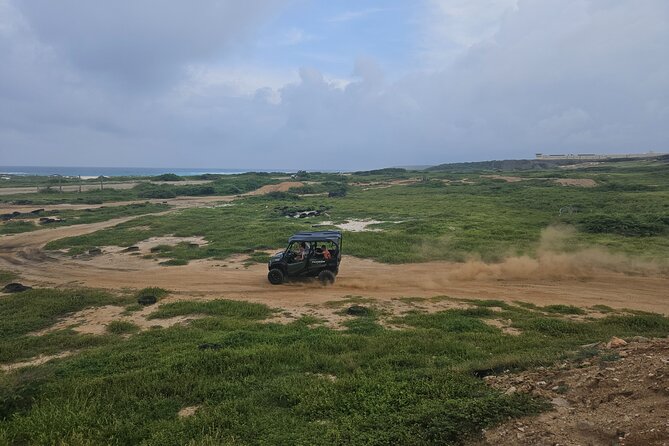 5-Seater UTV 4 Hours Island Tour in Aruba - Safety and Restrictions