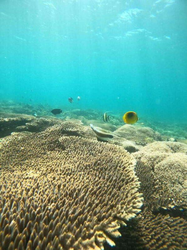 5 Secret Gili Boat Trip & Snorkeling in Southwest Of Lombok - Why This Tour Offers Great Value