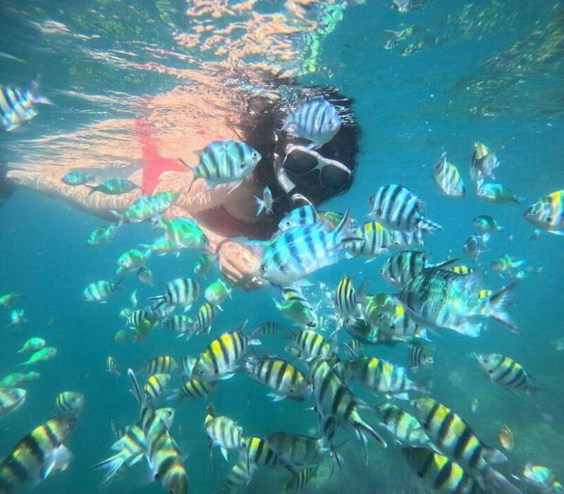 5 Secret Gili Boat Trip & Snorkeling in Southwest Of Lombok - Practical Tips for Travelers