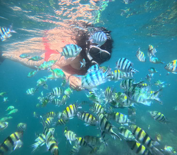 5 Secret Gili Boat Trip & Snorkeling in Southwest Of Lombok - Itinerary Highlights