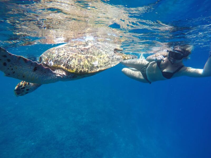 5 Secret Gili Boat Trip & Snorkeling in Southwest Of Lombok - Underwater Biodiversity