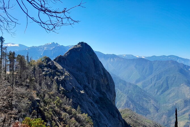 5 Star Rated Sequoia National Park Tour - Tips for Visiting Sequoia National Park
