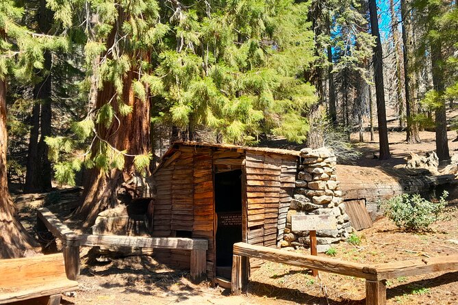 5 Star Rated Sequoia National Park Tour - Booking and Planning Your Tour