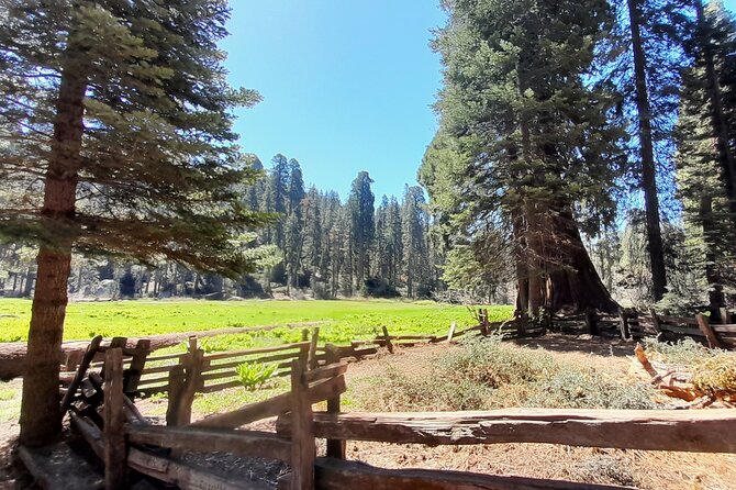 5 Star Rated Winter Private Tour in Sequoia - Key Points