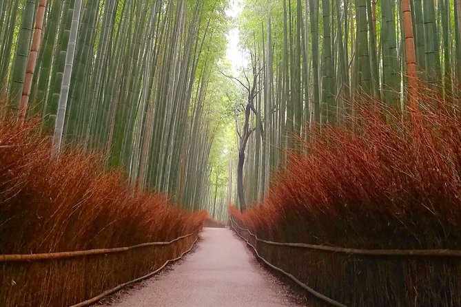 5 Top Highlights of Kyoto With Kyoto Bike Tour - Tour Inclusions
