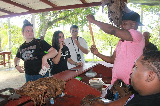 5 Tours of Jungle and Dominican Culture With Lunch - Meeting and Pickup