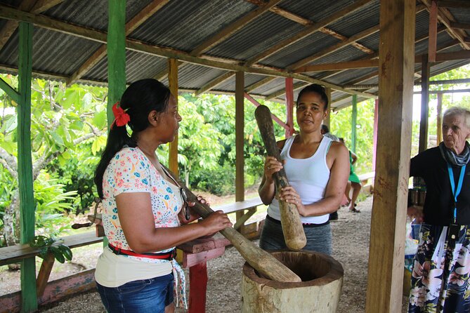 5 Tours of Jungle and Dominican Culture With Lunch - Accessibility and Dietary Needs