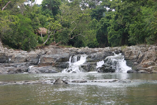 5 Tours of Jungle and Dominican Culture With Lunch - Explore Jungle and Culture