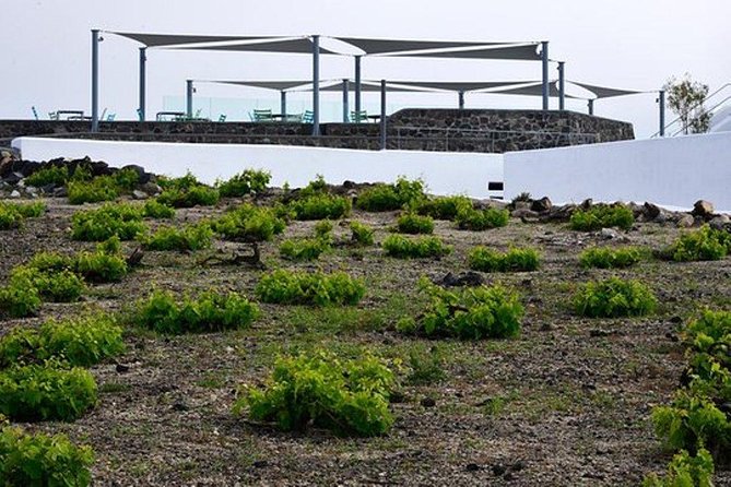 5 Towns in 5 Hours: Santorini Most Popular Tour With Wine Tasting - Transportation and Meeting Details