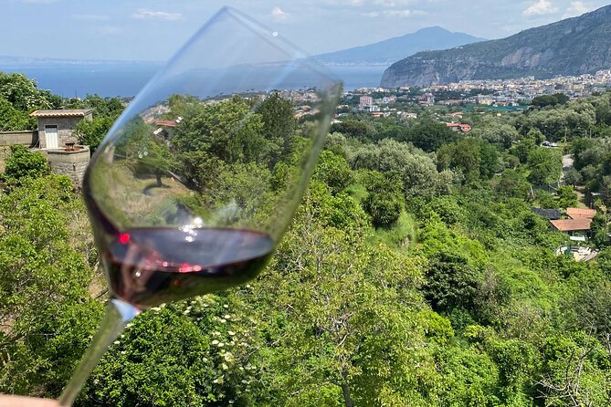 5 Wine Tastings With Typical Products in Sorrento Coast - Expert Staff and Knowledge