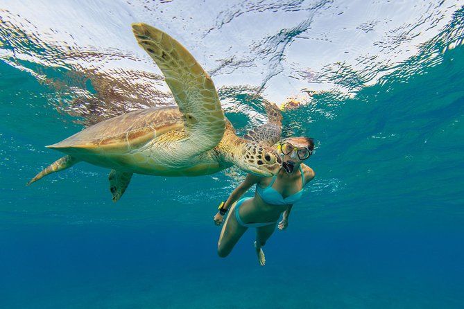 50 Luxury Yacht. Private Full or Half Day Catamaran Snorkel, & Beach Experience - Location and Accessibility