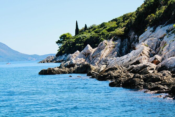 50-Minute Panoramic Cruise of Dubrovnik With English Audio Guide - Participant Reviews and Feedback