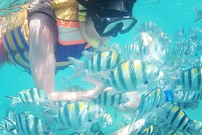 5D/4N (Hostel) Backpacker Lombok Tour Package - Accommodation Details