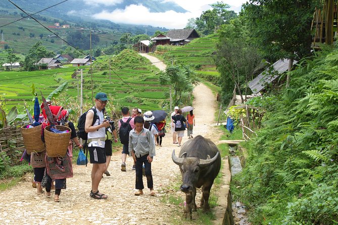 5days 4nights Lan Ha Bay-Sapa-Ninh Binh=>Free Airport Transfer &Street Food Tour - Tour Highlights