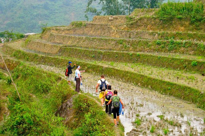 5days 4nights Lan Ha Bay-Sapa-Ninh Binh=>Free Airport Transfer &Street Food Tour - Hanoi Street Food Tour