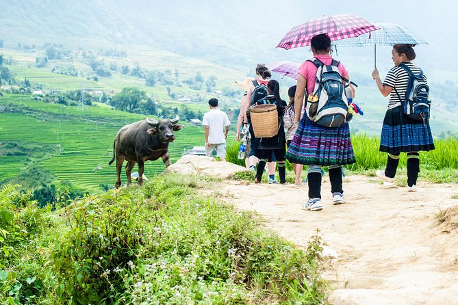 5days 4nights Lan Ha Bay-Sapa-Ninh Binh=>Free Airport Transfer &Street Food Tour - Booking and Cancellation