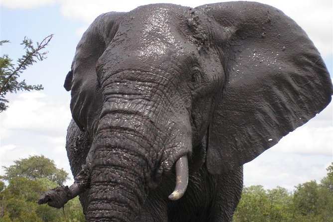 5Days Blyde River Canyon and Kruger National Park Overnight Tour and Safaris - Pricing and Reviews