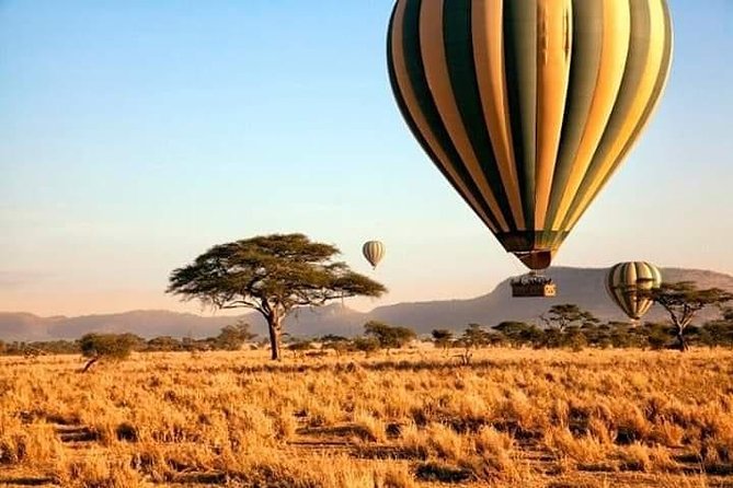 5days Tarangire,Serengeti,Ngorongoro Crater and Lake Manyara National Park - Discovering Serengeti National Park