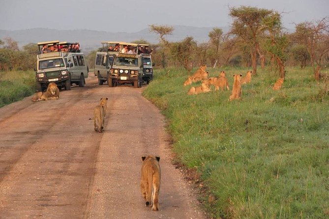 5days Tarangire,Serengeti,Ngorongoro Crater and Lake Manyara National Park - Itinerary and Highlights