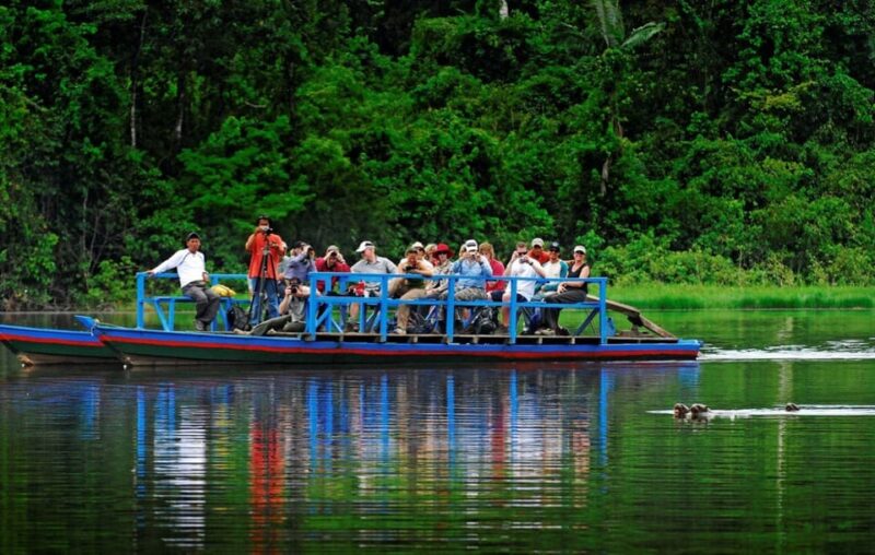 5D||Exploring the Fauna of the Candamo: In Search of Mammals - Fauna Observation