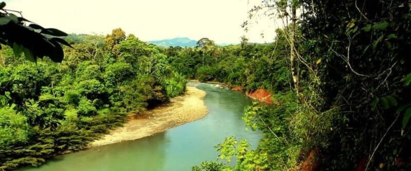 5D||Exploring the Fauna of the Candamo: In Search of Mammals - Accommodation and Amenities